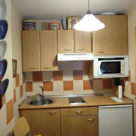 Apartament El Llar 122 *